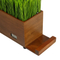 Elegant Solid Wood USB Music Box for Home Decor