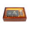 Elegant Acrylic Shell Wooden Gift Box for Health Products