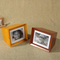 Customized Premium Ash Urn for Beloved Pets - Wholesale Supplies