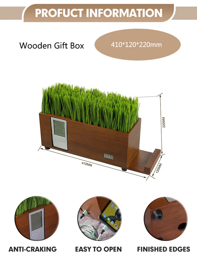 Elegant Solid Wood USB Music Box for Home Decor