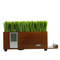 Elegant Solid Wood USB Music Box for Home Decor
