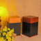 Factorary Price Customizable Solid Wood Cremation Funeral Urn for Cats Dogs Ashes Pet Urn Wooden Box