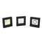 OEM Custom Gold Silver Commemorative Coin Display Boxes Luxury High Quality Wood Coin Box