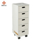 Home Decoration Living Room Bedroom Furniture White Modern MDF Wood Cabinet Chest with 5 Leather Drawers