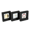 OEM Custom Gold Silver Commemorative Coin Display Boxes Luxury High Quality Wood Coin Box
