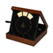 Hot Sales Handmade Custom Logo Wooden Coin Storage Box Gift Package for Collectors Velvet Interio Container 12 Slot Sliver Medal Display Case for Precious Coins