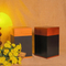 Factorary Price Customizable Solid Wood Cremation Funeral Urn for Cats Dogs Ashes Pet Urn Wooden Box