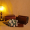Elegant Wooden Casket for Pet and Human Cremation Urn